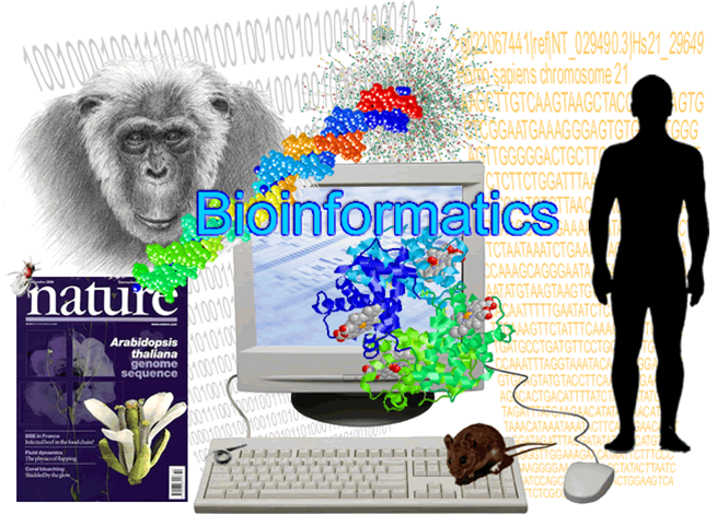 Bioinformatics Logo