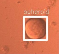 Spheroid detection