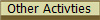 Other Activties
